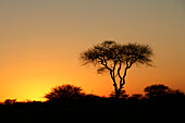 Sunset, Okahandja, Otjozondjupa Region, Namibia