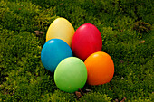 Easter Eggs on Moss