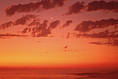Sonnenuntergang mit Mondsichel über dem Meer, Bogensveld, Namibia
