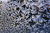 Frostmuster auf Glas, Shamper's Bluff, New Brunswick, Kanada