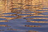 Wasserspiegelungen, Altstadt Chania, Kreta