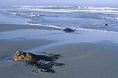 Atlantikküste, Boulderbaai, Kap-Provinz, Südafrika