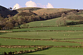 Frühlingshafte Bauernhofszene mit Schafen, Lorton, Lake District, England
