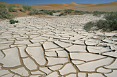 Trockene Schlamm-Muster in der Wüste, Sossusvlei, Namibia