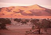 Wüste, Sossusvlei, Namibia