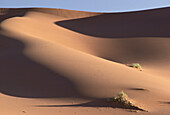Wüste, Sossusvlei, Namibia