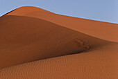 Red Dunes near Kalahari, Gemsbok National Park, South Africa