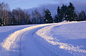 Landstraße im Winter, Shampers Bluff, New Brunswick, Kanada
