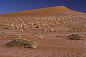 Desert, Sossusvlei, Namibia