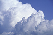 Cumulus Clouds