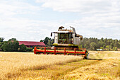 Combine harvester harvesting crop in field
