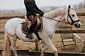 Low section of woman riding horse