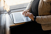 Mid section of woman using laptop during train journey