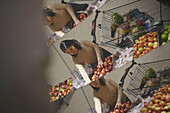 Low angle view of woman with shopping trolley choosing apples and reflecting in supermarket mirror
