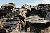 Pile of rotting discarded wooden fruit storage boxes or pallets, tumble weed scattered about.