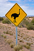 Ein Wildtier-Warnschild für den ñandu oder Rhea im Nationalpark Talampaya, Provinz La Rioja, Argentinien.