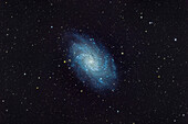 Die Spiralgalaxie der Lokalen Gruppe, Messier 33 in Triangulum, mit einigen ihrer sternbildenden Nebel, die sich als grün-blaue Sauerstoff-III-Regionen in ihren Spiralarmen zeigen.