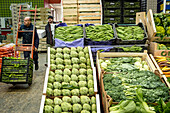 Abteilung für Obst und Gemüse in der Mercabarna. Barcelonas zentrale Märkte. Barcelona. Spanien