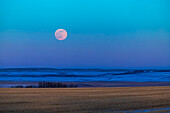 The rising Full Moon of February 8, 2020, over the Alberta prairie.