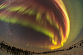 Ein schwaches Polarlicht vom Churchill Northern Studies Centre in Churchill, Manitoba am 26. Februar 2022. Dieses Polarlicht befand sich auf Kp1-Niveau (sehr niedrig) und erschien dem Auge nur als unscheinbare graue Bögen. Aber die Kamera nahm ungewöhnliche rote Färbungen und sogar einige gelb-orangefarbene Färbungen neben den normalen Grüntönen auf. Die Rottöne sind ungewöhnlich für ein so schwaches Polarlicht, da die Sauerstoffrottöne normalerweise nur dann auftreten, wenn das Polarlicht sehr aktiv und energiegeladen ist. Später in dieser Nacht hellte sich die Erscheinung auf und nahm die kl