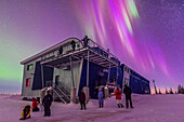 Unsere Gruppe von Learning Vacations Touristen genießt den Beginn eines schönen Nordlichtes im Churchill Northern Studies Centre, 6. März 2016. Während im Osten Vorhänge auftauchen, leuchtet im Westen dahinter eine weitere Reihe von Vorhängen mit einem starken violetten Farbton, der den Himmel und den Boden erhellt. Die Andromedagalaxie befindet sich inmitten der Vorhänge.