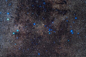 Der Coathanger-Sternhaufen und Asterismus in der Milchstraße im südlichen Cygnus, auch bekannt als Collinder 399 oder Brocchis-Haufen. Das Feld ist ähnlich dem, was ein großes Fernglas zeigen würde. Dies habe ich am 25. November 2019 von zu Hause aus aufgenommen.