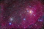 Open cluster pair of NGC 2451 (right), a bright loose cluster, and NGC 2477 (left), a fainter but very rich open cluster. The field is also filled with faint emission nebulosity. Taken from Timor Cottage, Coonabarabran, NSW, Australia, December 12, 2010. This is a stack of 5 x 6 minute exposures at ISO 1600 with Canon 5D MkII camera on 105mm Astro-Physics Traveler apo refractor at f/5.8 with 6x7 field flattener.