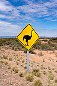 A wildlife caution sign for the ñandu or Rhea in Talampaya National Park, La Rioja Province, Argentina.