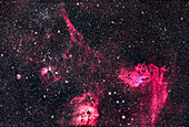 Dies ist die reiche Region im Zentrum des Sternbildes Auriga mit dem Flammensternnebel IC 405 rechts und dem rundlichen IC 410 unten mit dem Sternhaufen NGC 1893. Oben links ist der Sternhaufen Messier 38 zu sehen, darunter der kleine NGC 1907. Der kleine Nebel links ist IC 417 um den lockeren Sternhaufen Stock 8. Der große, längliche Nebel oben ist Sharpless 2-230. Der bunte Sternhaufen zwischen IC 405 und IC 410 ist der Leaping Minnow oder Little Fish, auch bekannt als Mel 31.