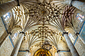 Basílica de la Purísima Concepción, Elorrio, Biscay, Basque Country, Spain