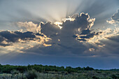 Sonnenstrahlen der späten Nachmittagssonne hinter Wolken über dem Valle de Uco bei Tupungato, Provinz Mendoza, Argentinien.