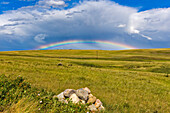 A low primary rainbow, with supernumerary arcs inside the bow, appearing to the east as a thunderstorm receded. Taken from the site of the Blackfoot Crossing Historic Park. in southern Alberta, July 20, 2014.
