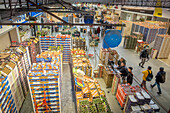 Fruit and Vegetable section, in Mercabarna. Barcelona´s Central Markets. Barcelona. Spain