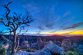 Evening twilight with Venus in the sky, on December 3, 2013 from Massai Point, Chiricahua National Monument, Arizona. This is a 8-frame HDR High Dynamic Range stack to compress the high contrast from the bright sky and dark foreground into one image. Combined with Photomatix Pro. Taken with the Canon 5D MkIi and Rokinon 14mm manual lens at f/8. Some wind has blurred trees. From images _MG_7042 to 7049, taken at 2/3rd stop increments.