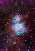 This is a portrait of the main nebulosity in Orion in his Sword, including: the Orion Nebula itself (at centre), aka Messiers 42 and 43, and the Running Man Nebula above (aka NGC 1973-5-7). The bright blue star cluster NGC 1981 shines above the Running Man. The subtle reflection nebula NGC 1999 is below M42 but a bit lost amid the other faint and dusty nebulosity.