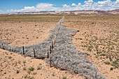 Dead tumbleweeds, Russian Thistle, trapped against a ranch fence line in the San Rafael Desert in Utah. The San Rafael Reef is behind.