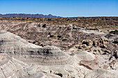 Die karge Landschaft des Tals des Mondes oder Valle de la Luna im Ischigualasto Provincial Park in der Provinz San Juan, Argentinien.