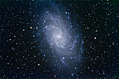 M33, die Triangulum-Spirale, eine Zwergspirale in der Lokalen Gruppe. Dies ist ein 6-Bilder-Stapel aus 12-Minuten-Belichtungen mit der Canon 7D bei ISO 800 am 130-mm-Astro-Physics-Apo-Refraktor bei f/6 auf AP 600E-Montierung und SBIG SG4-Autoguider. Schlechtes Seeing hat die Sternbilder etwas aufgebläht.