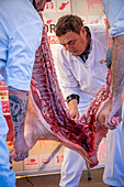 Butcher butchering a pig. Firaporc, pig fair, Riudellots de la Selva, Catalonia, Spain
