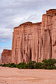Die erodierte rote Sandsteinwand der triassischen Talampaya-Formation im Talampaya National Park, Provinz La Rioja, Argentinien.