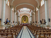 The nave and apse of the San Rafael Archangel Cathedral in San Rafael, Argentina.