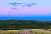Der Vollmond vom 31. August 2012 (der ein "Blue Moon" war - d.h. der zweite Vollmond des Monats) geht über einem abgeernteten Feld mit den Windrädern des Windparks Wintering Hill auf. Der rosafarbene Venusgürtel ist über dem blauen Band über dem Horizont, dem Erdschatten, sichtbar. Dies ist ein HDR-Stapel mit 6 Belichtungen, aufgenommen mit der Canon 7D bei ISO 100 und einem 16-35-mm-Objektiv. Gemessene Belichtungen.