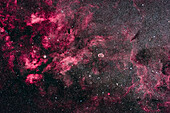 Dies ist der zentrale Bereich von Cygnus und seine helle Milchstraßen-Sternwolke, umgeben von rotem Nebel. Links ist der Stern Sadr (gamma Cygni) mit dem Nebelkomplex, der als IC 1318 katalogisiert ist. In der Mitte ist der ausgeprägte Halbmondnebel NGC 6888 zu sehen, ein sich ausdehnender Nebel, der durch die Winde eines heißen Wolf-Rayet-Sterns entsteht. Unten links ist der Sternhaufen Messier 29 zu sehen, der allerdings etwas verloren in den reichhaltigen Sternenfeldern hier aussieht. Oben ist der Sternhaufen IC 1311 zu sehen, der deutlicher als M29 aussieht, aber nicht visuell beobachtet w