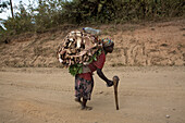 Frau sammelt Tannenholz in Äthiopien