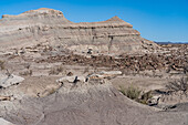 Eroded geologic formations in the barren landscape in Ischigualasto Provincial Park in San Juan Province, Argentina.