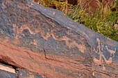 Pre-Hispanic indigenous rock carvings or petroglyphs in Talampaya National Park, La Rioja Province, Argentina.
