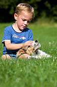 Boy playing with Wire-Haired Fox Terrier, Pup