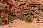 Erodierte Sandsteinschichten in der Shimpa-Schlucht im Talampaya-Nationalpark, Provinz La Rioja, Argentinien.