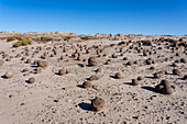 Erodierte Felsen in der Cancha de Bochas oder dem Boccia-Platz im Ischigualasto Provincial Park, Provinz San Juan, Argentinien.