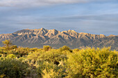 Die Bergkette Sierra de Sanogasta bildet die östliche Grenze des Nationalparks Talampaya in der Provinz La Rioja, Argentinien.